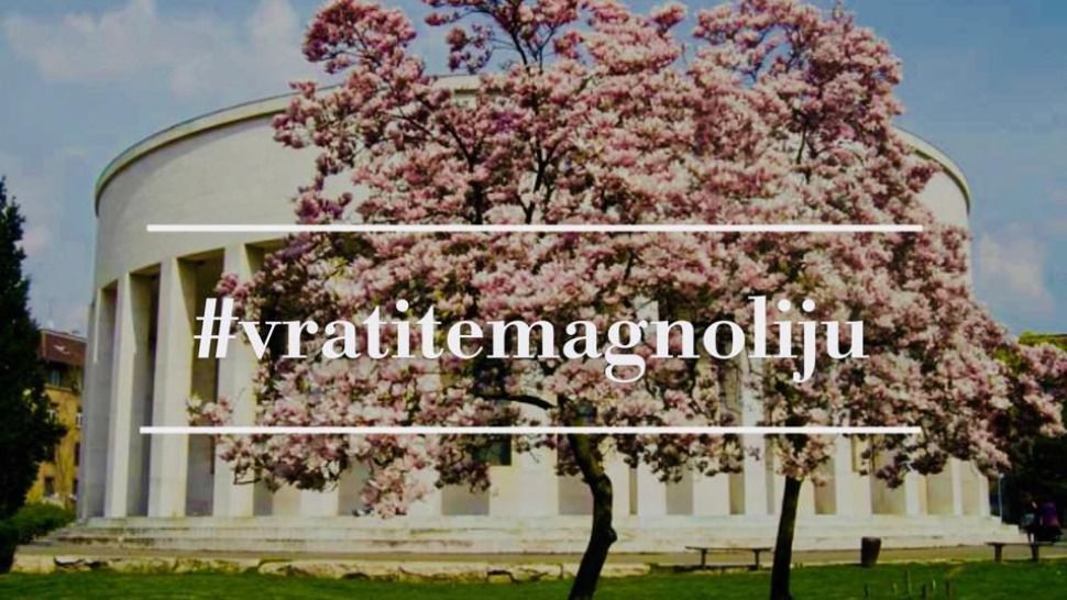 Nije prvoaprilska šala, magnolije bi se mogle vratiti na Trg žrtava fašizma