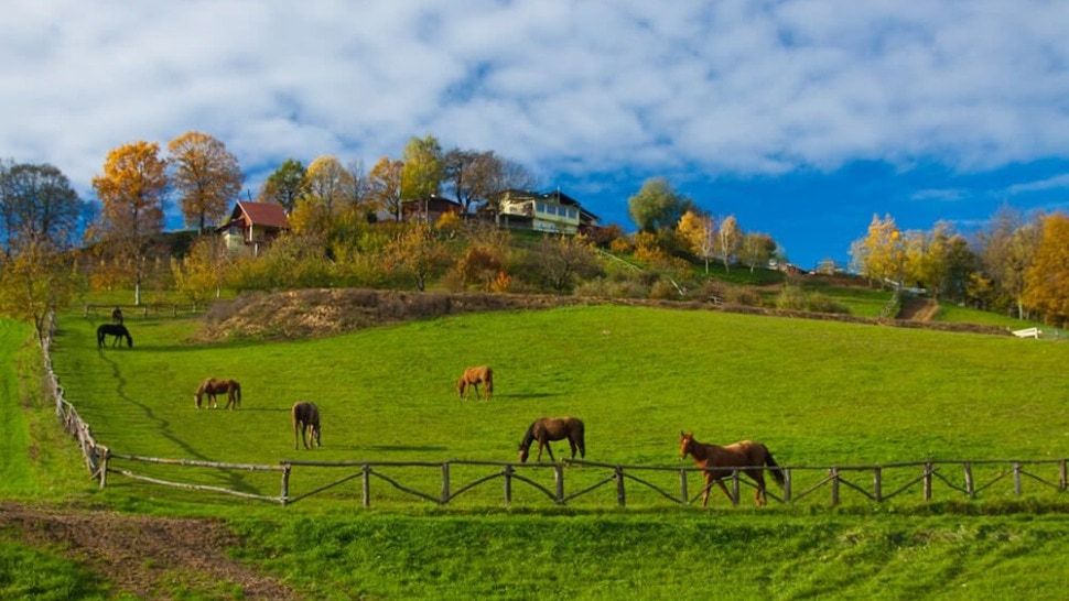 “Na malenom brijegu” je agroturizam kojeg ćete poželjeti posjetiti već idućeg vikenda