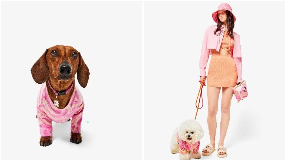 Journal Pets: Bershka je lansirala vlastitu kolekciju za kućne ljubimce