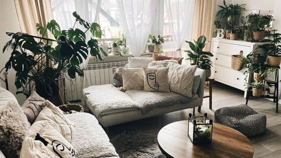 Ovaj Instagram profil inspirirat će vas kako biljkama urediti svoj dom
