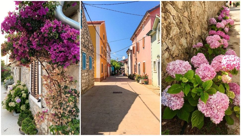 Čaroban otok cvijeća u blizini Lošinja