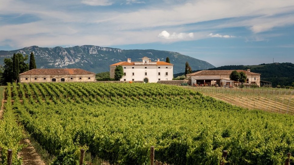 Narednih desetak dana rezervirajte za film uz vino i glazbu na nekim od najljepših lokacija u Istri