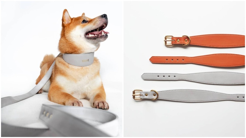 Journal Pets: Ovaj novi domaći brend kreira divne ogrlice i povodce za pse