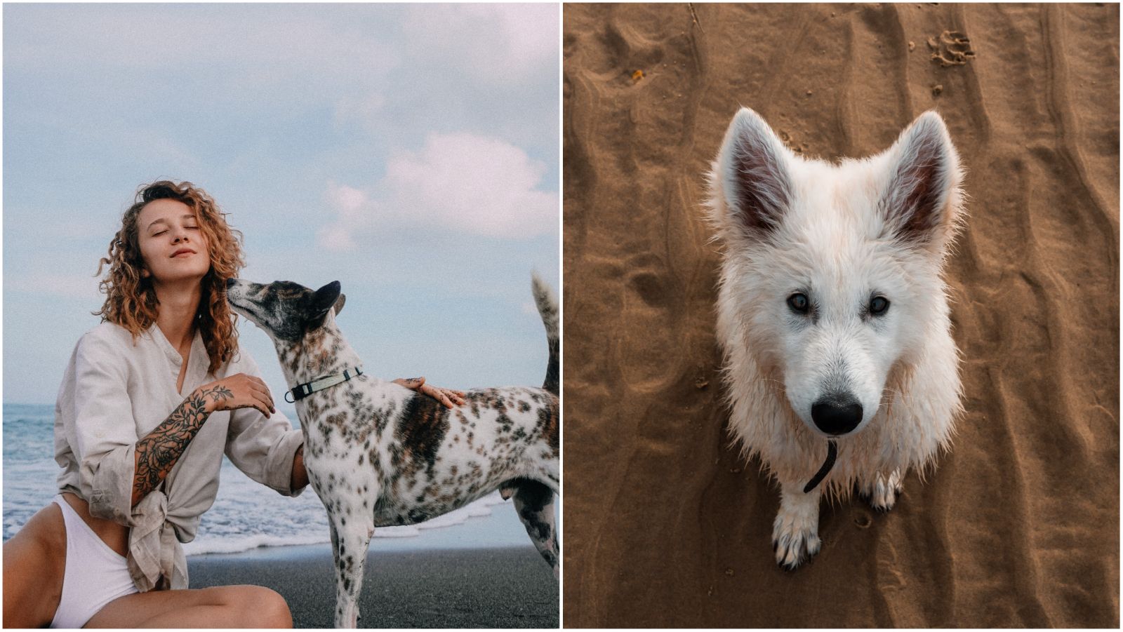 Journal Pets: Ovo su najljepše plaže na kojima će uživati i vaš ljubimac