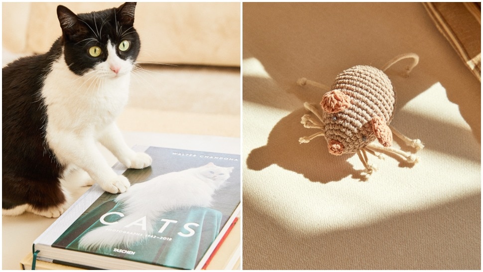 Journal Pets: Zara Home ima i kolekciju za mačke
