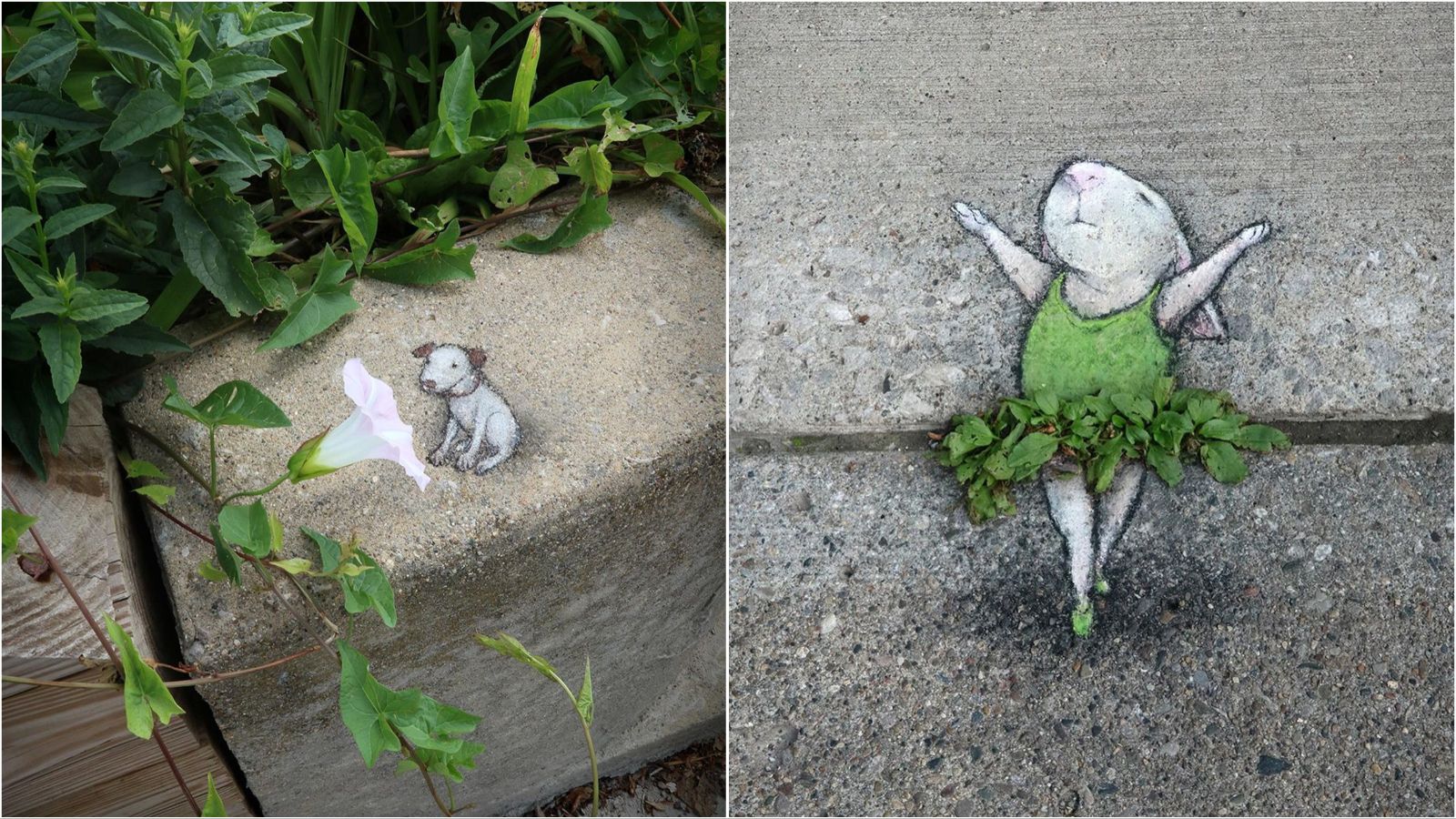 Street art umjetnik David Zinn kredom radi prava umjetnička djela