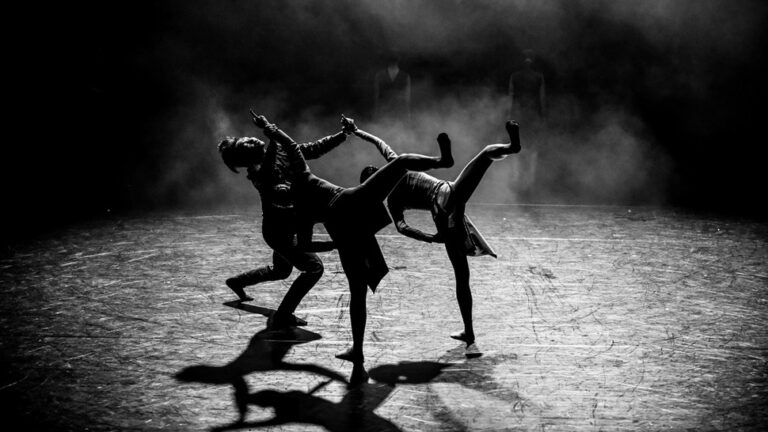 Šibenik Dance Festival 2021. cover