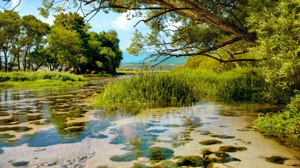 Cetina – voda iz Parka prirode Dinara
