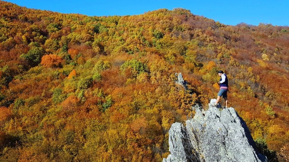 Posjetite priceless.com, spakirajte kovčege i uputite se na svoje sljedeće nezaboravno iskustvo