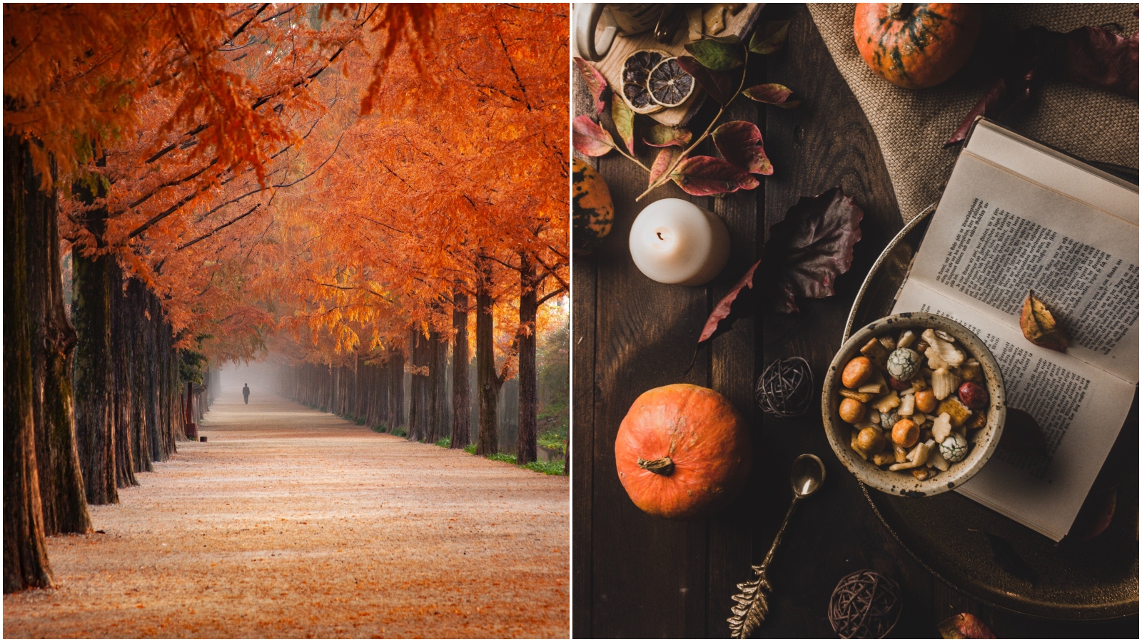 Zakoračili smo u jesen, a ove su nas fotografije podsjetile zašto obožavamo ovo godišnje doba