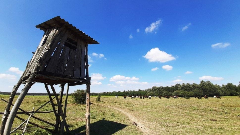 5 razloga zašto je Gornja Posavina super izbor za vaš idući vikend izlet