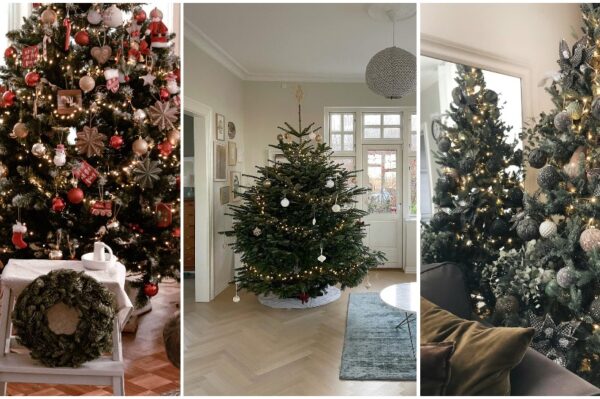 Najljepše božićne jelke s Instagrama
