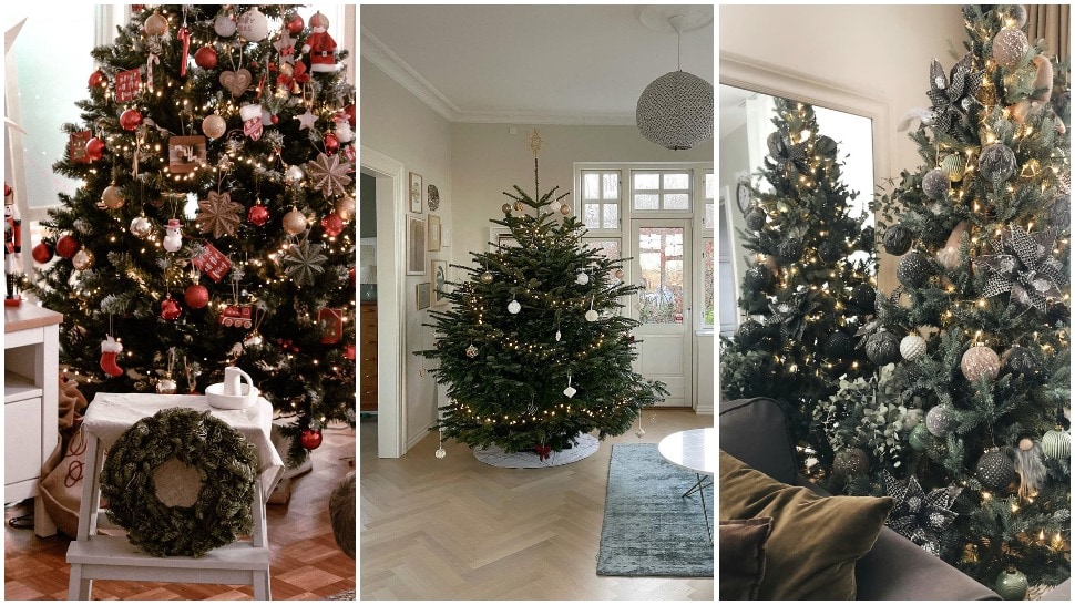 Najljepše božićne jelke s Instagrama