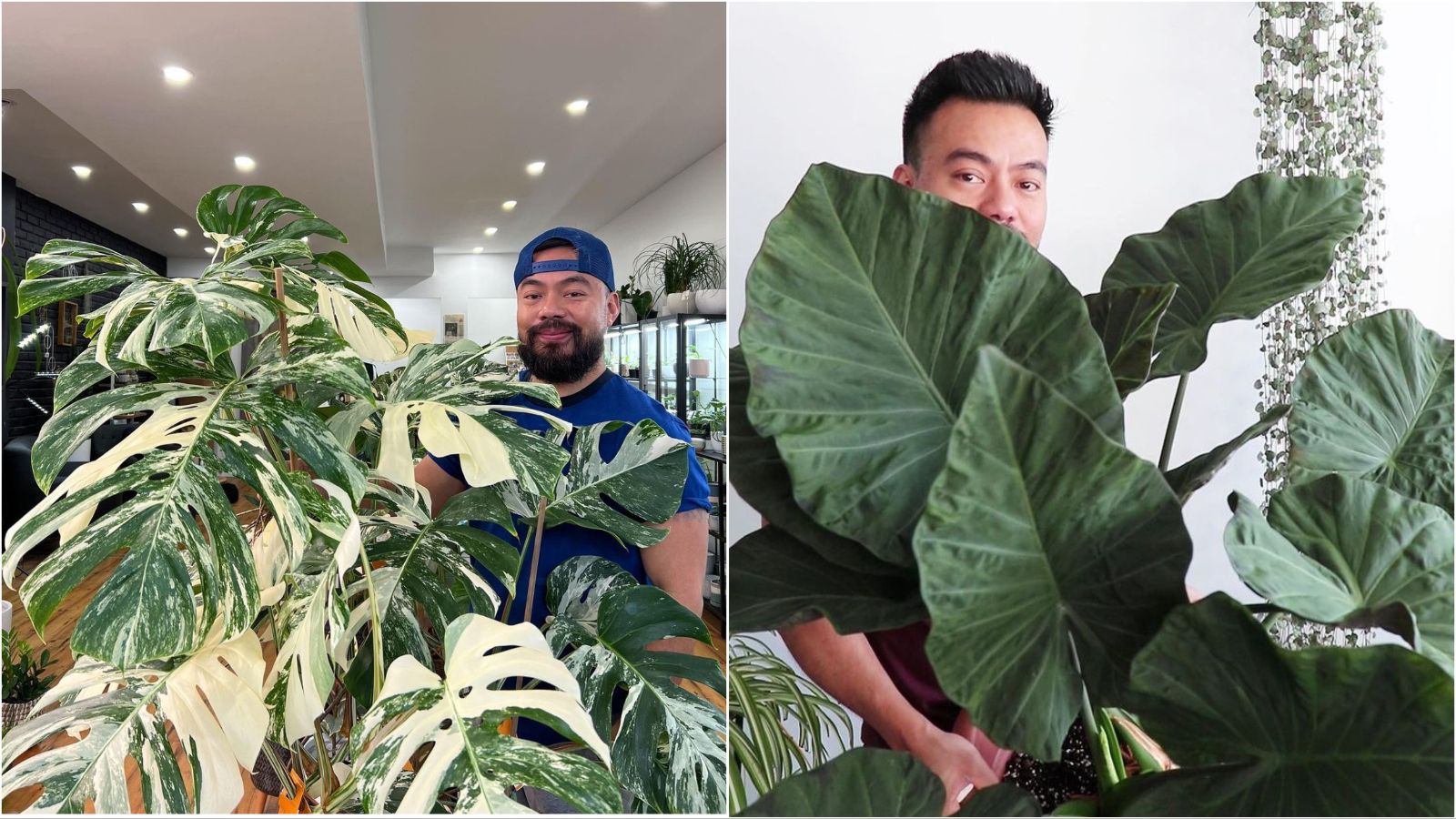 Na Instagram profilu Crazy plant guy saznat ćete sve što trebate znati o biljkama