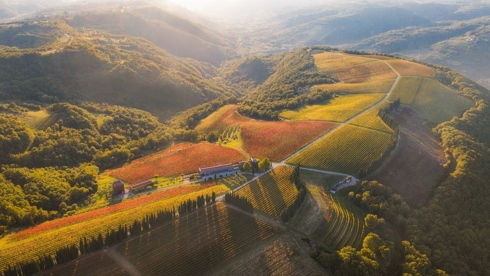 Bajkovito boutique imanje Brič nudi visokokvalitetna vina ekološke proizvodnje