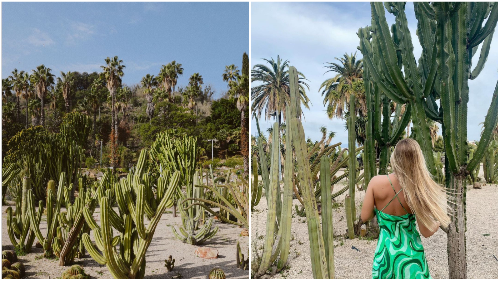 Pronašli smo čaroban park kaktusa koji želimo posjetiti već početkom ovog proljeća
