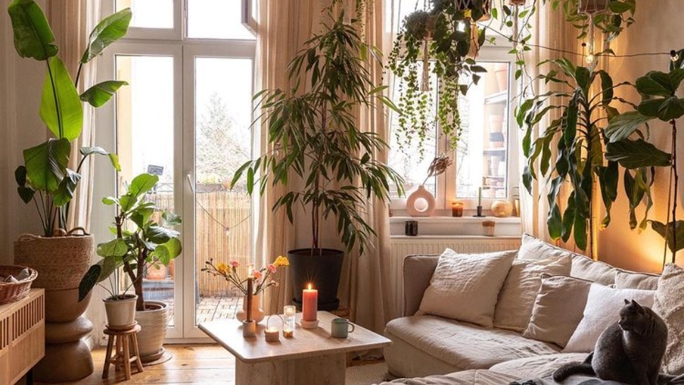 Ovaj berlinski stan raj je za sve ljubitelje biljaka