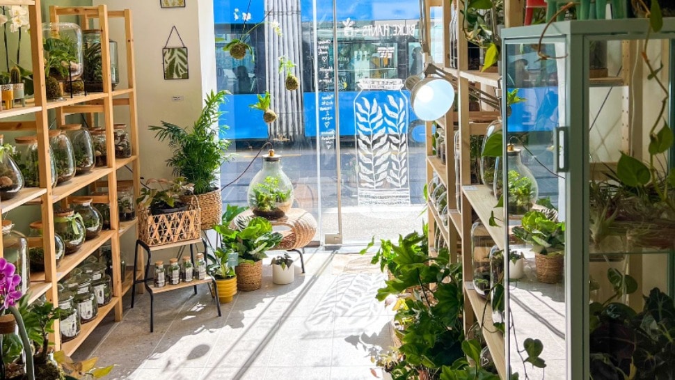 Na Ilici se otvorio plant shop s terarijima