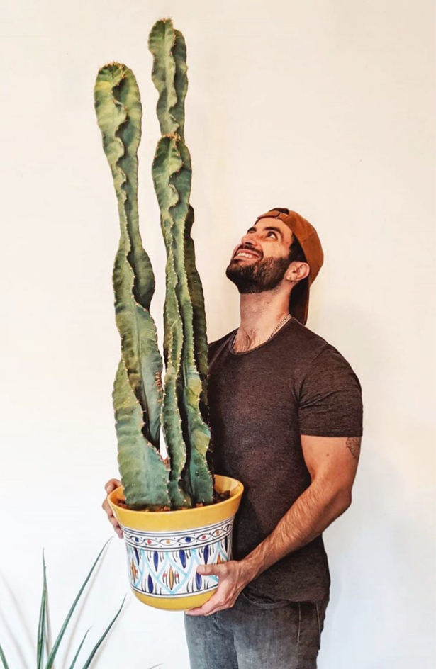 Journal Man: Ove biljke obožavaju muškarci, a jednostavne su za održavanje