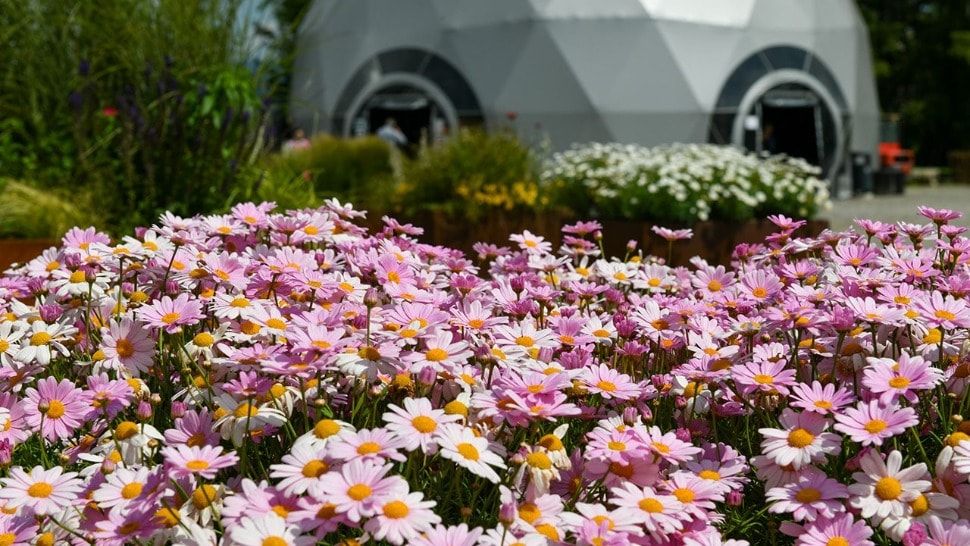 Ovogodišnji Floraart krcat je izlagačima i radionicama na koje vrijedi otići