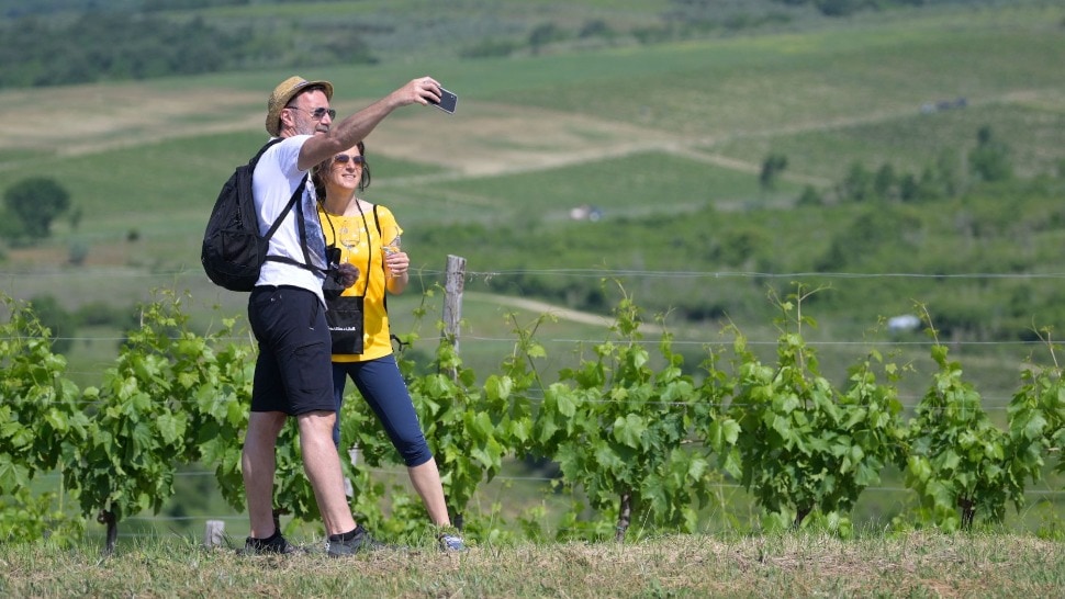 Istria Wine & Walk: 700 vinskih entuzijasta uživalo u čarima sjeverozapadne Istre