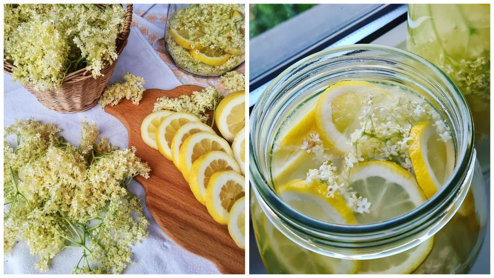 Obožavamo hladan sok od bazge – donosimo jednostavan recept za domaći sirup