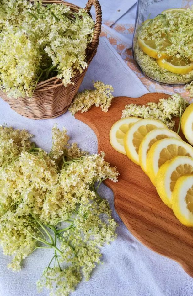 Obožavamo hladan sok od bazge – donosimo jednostavan recept za domaći sirup