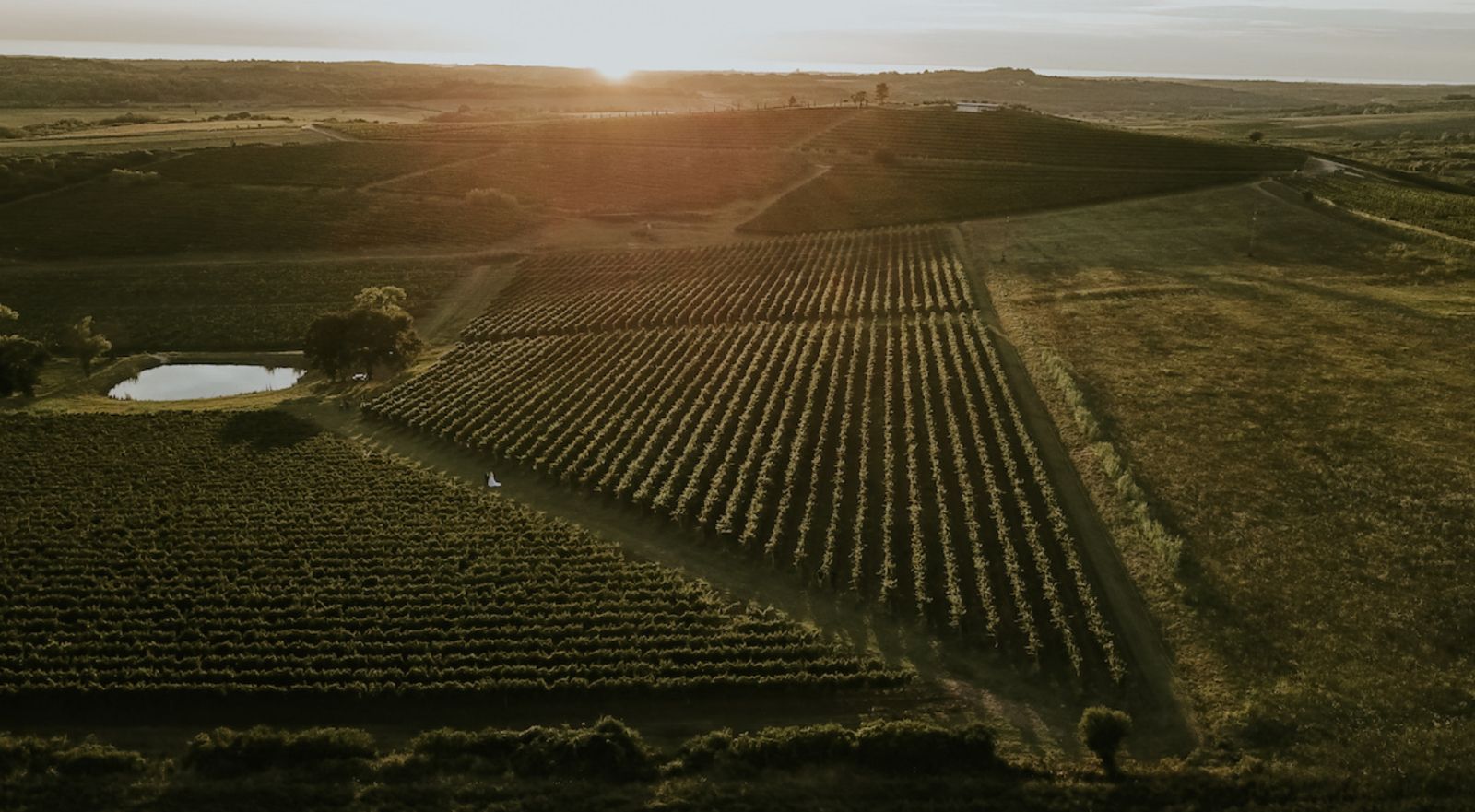 Vinska priča koja se ne propušta ovih se dana priča u Umagu