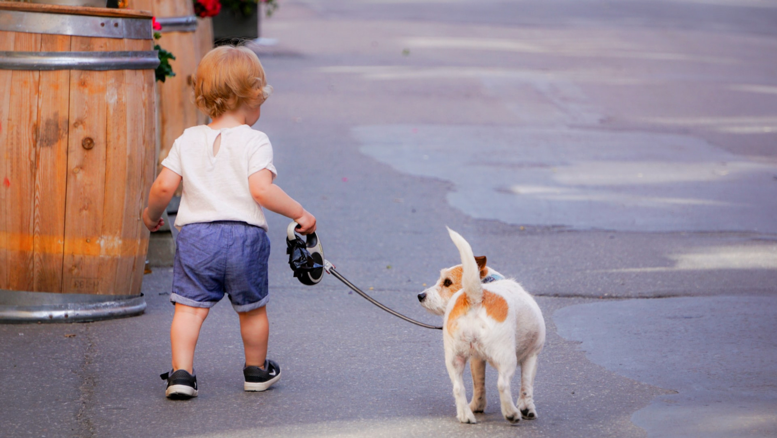 Journal pets: Četiri benefita za zdravlje koje možete dobiti od šetnje s psom