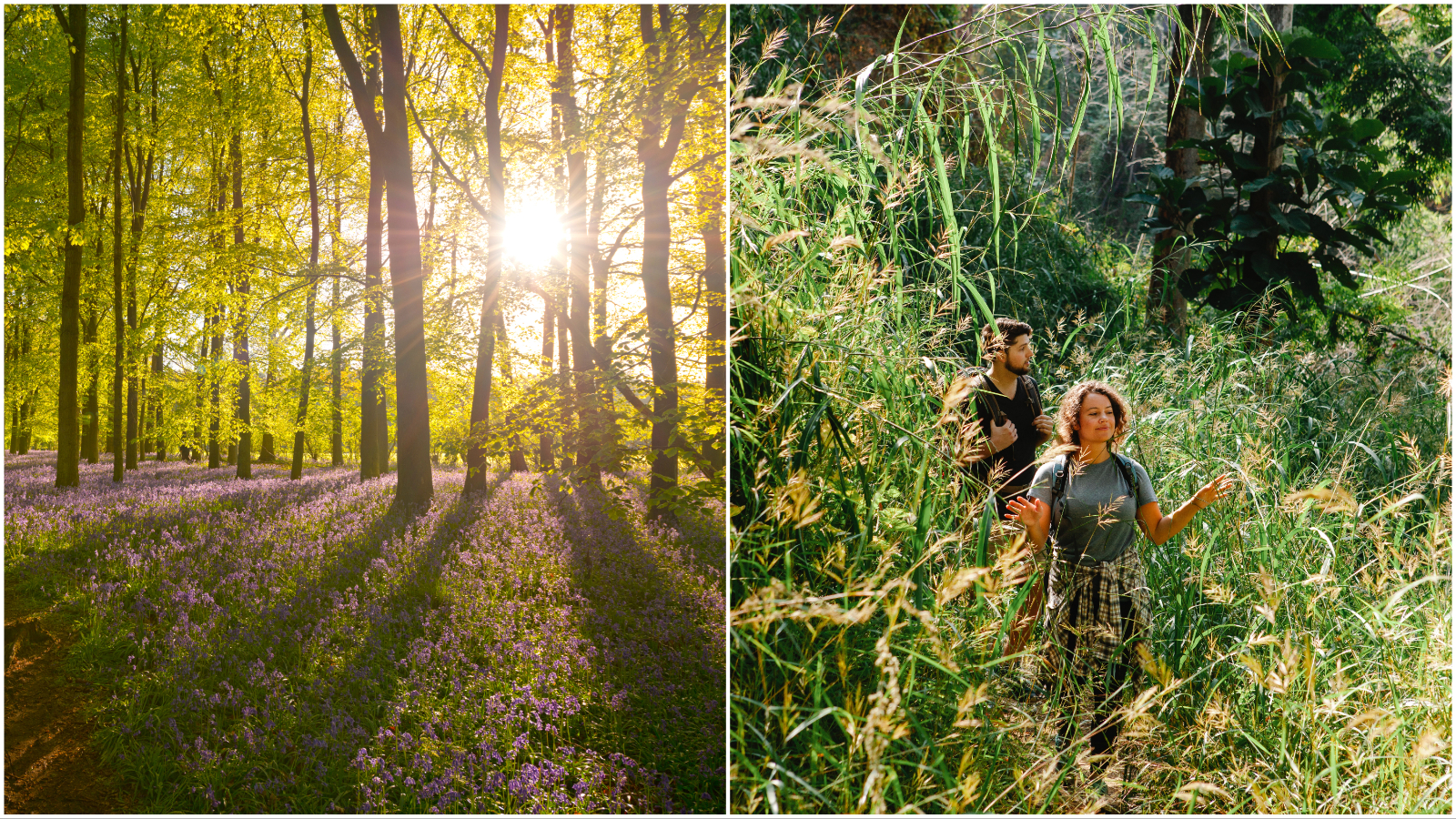 Kako pobijediti proljetni umor? Pronašli smo lijek šetajući ovim predivnim šumama u okolici Zagreba