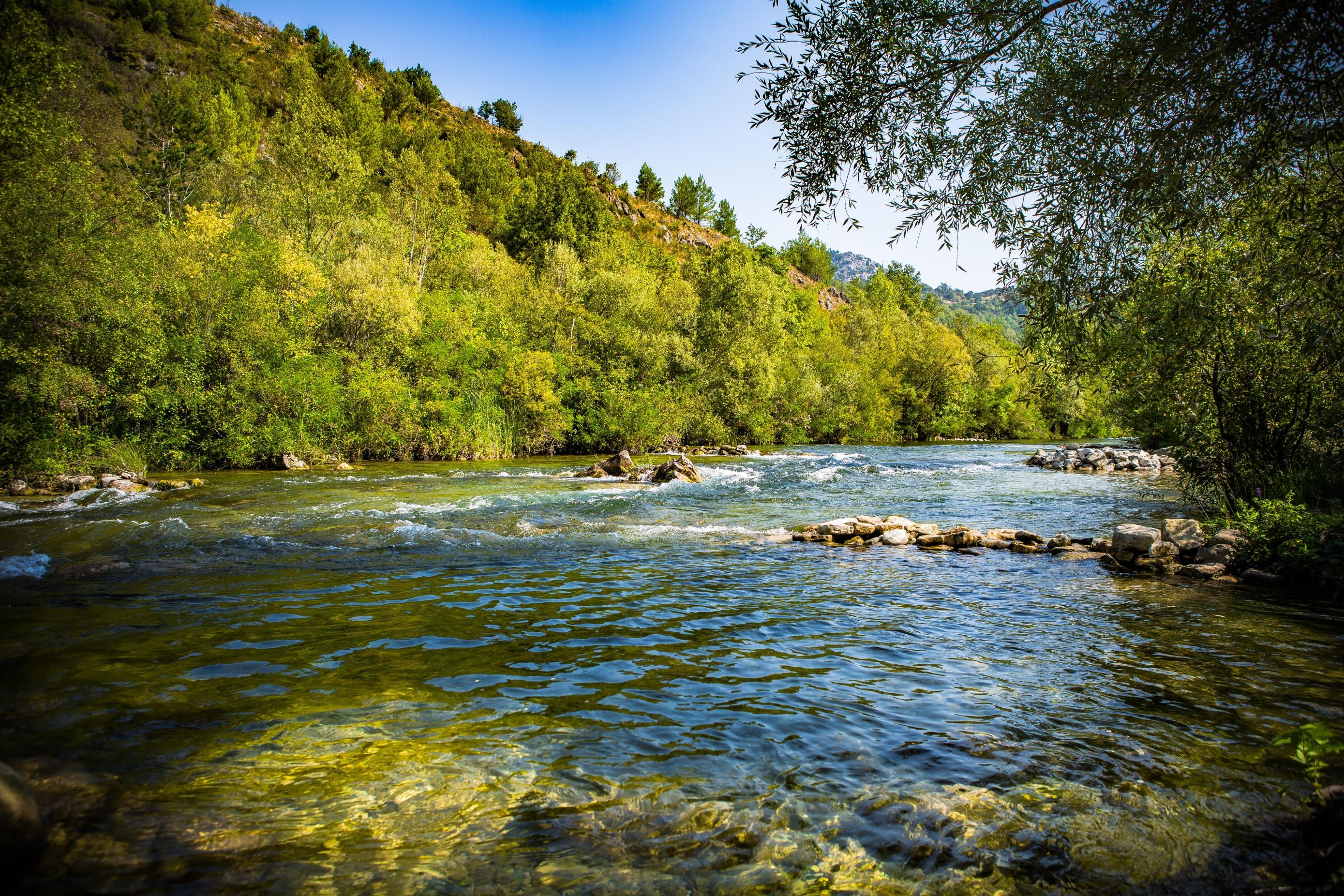 Cetina