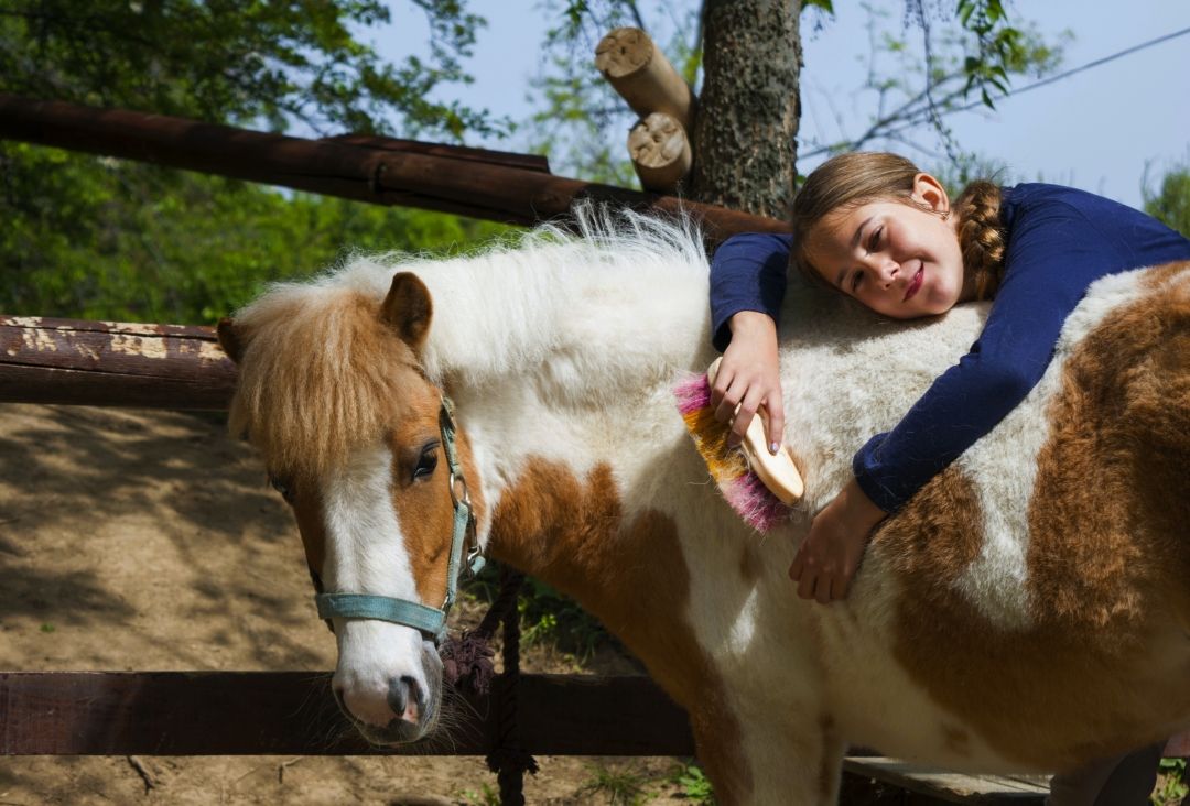 pony i dijete
