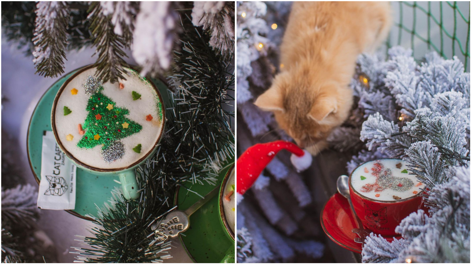 Cat Caffe ima najslađe kave ukrašene božićnim motivima