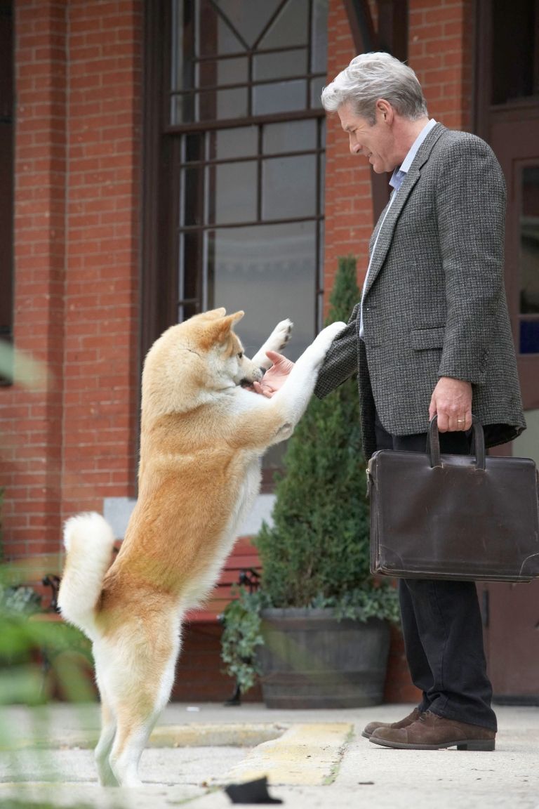 Hachiko Priča o psu