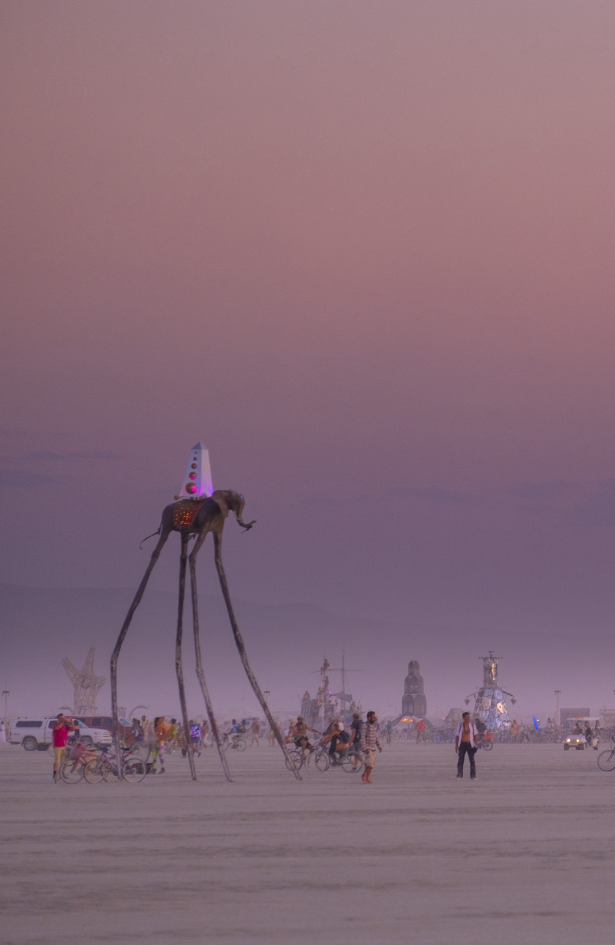 Kako izgleda festival Burning man pogledajte na izložbi fotografija u Botaničaru