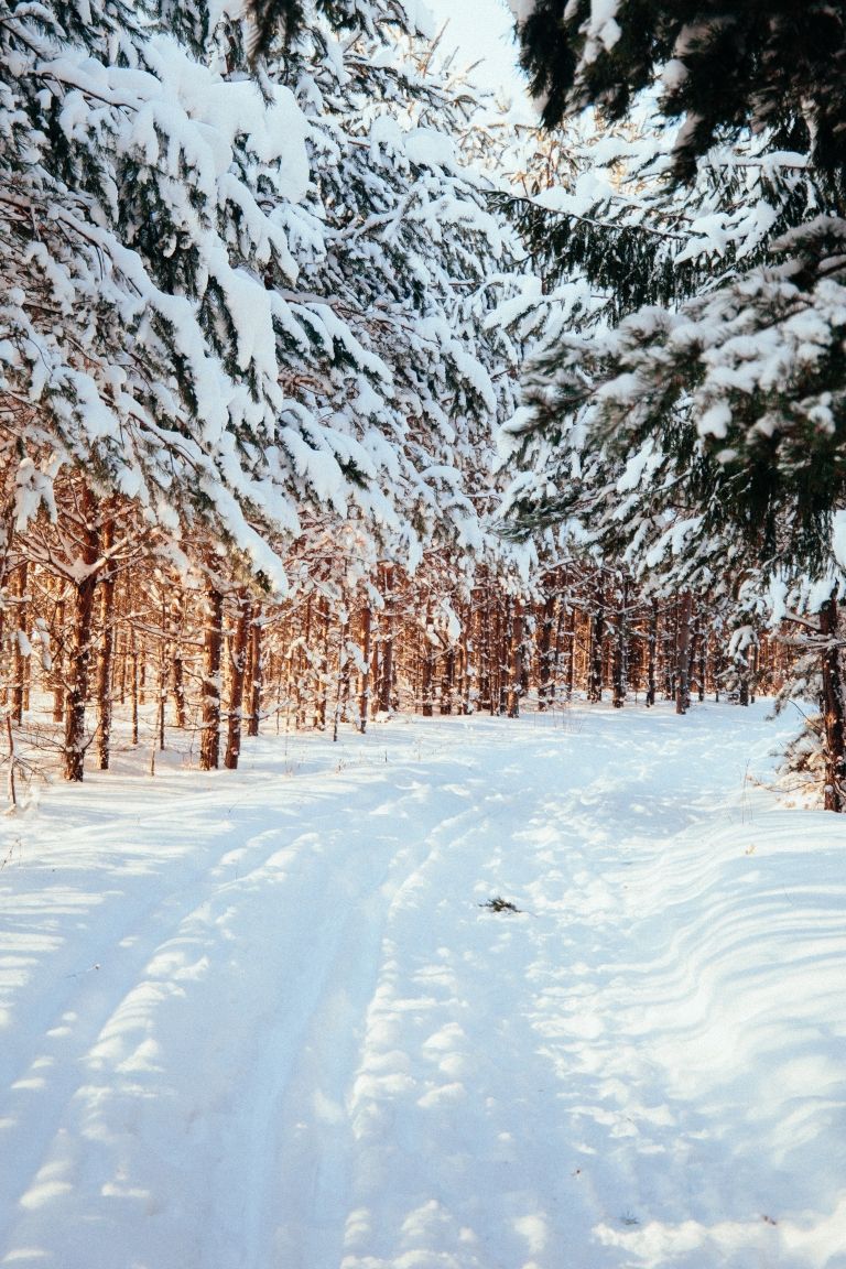 Gorski kotar snijeg