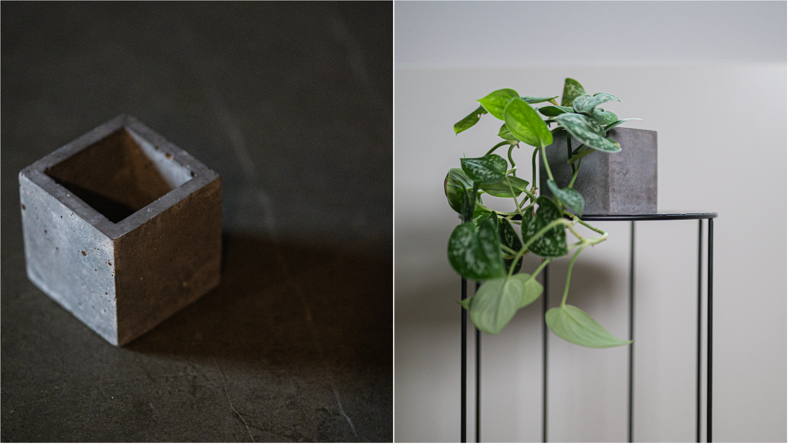 Ove betonske teglice idealan su poklon svima koji vole biljke