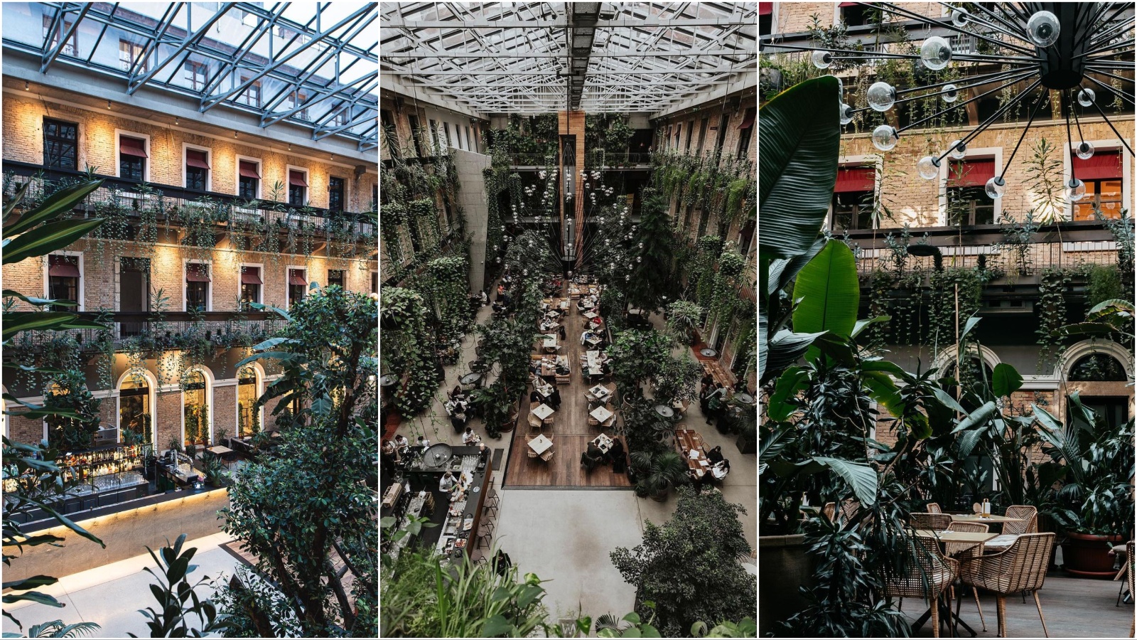 Welcome To The Jungle: Mjesto u Budimpešti koje je osvojilo Instagram