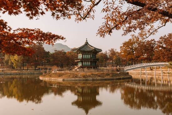 Razglednice iz Koreje: 10 dana ispričano fotografijama Matee Leš