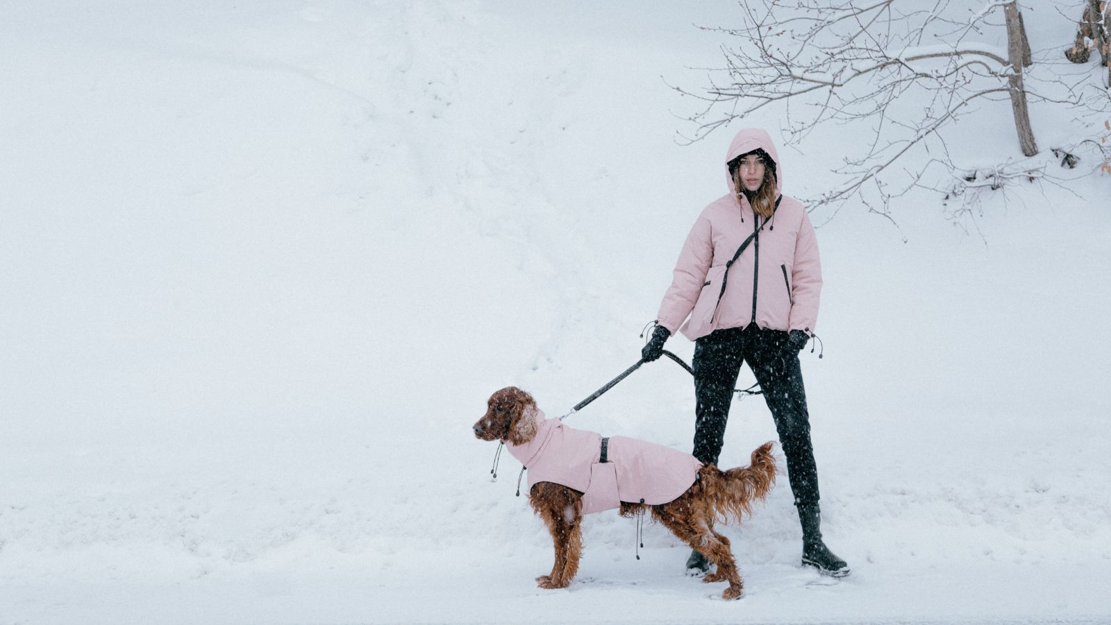 Shibesu ima novu liniju neodoljivih zimskih outfita za vas i vaše kućne ljubimce