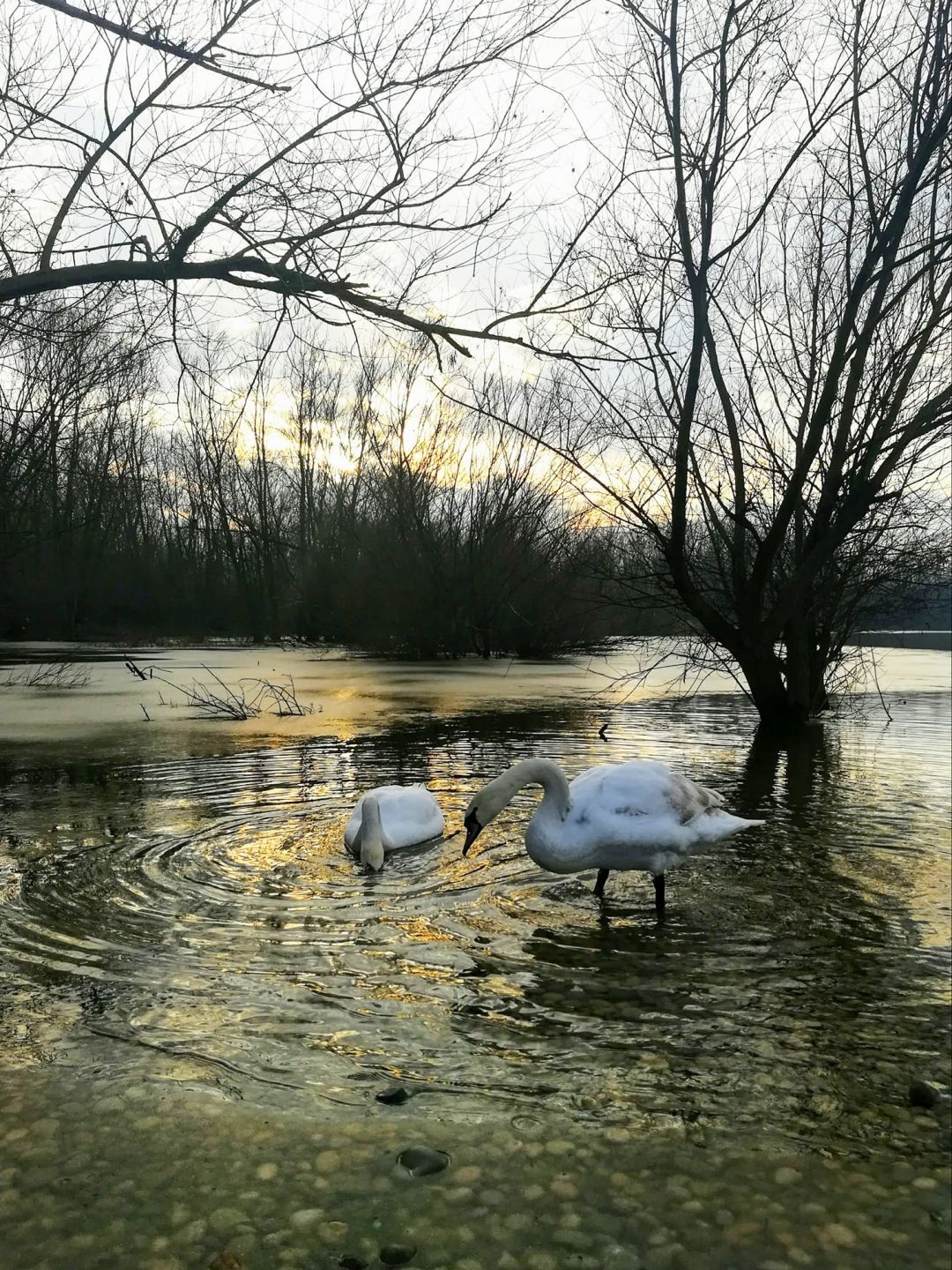 Top 5 pitoresknih mjesta u okolici Zagreba za savršeni foto safari