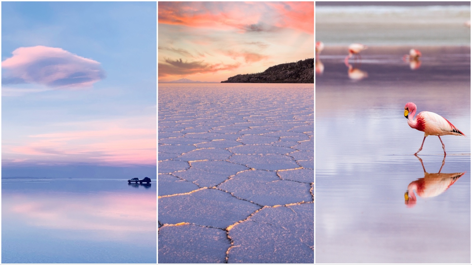 Salar de Uyuni: Najveća slana pustinja na kojoj možete vidjeti nebeske prizore