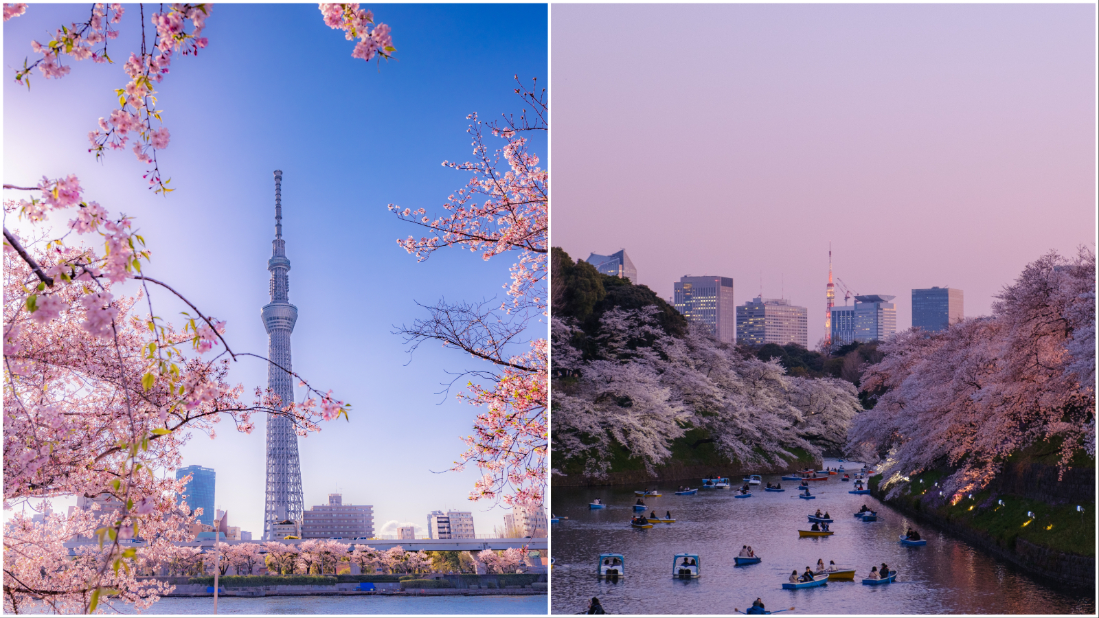 Zašto je Tokio najčarobnija lokacija koju možete posjetiti u proljeće?