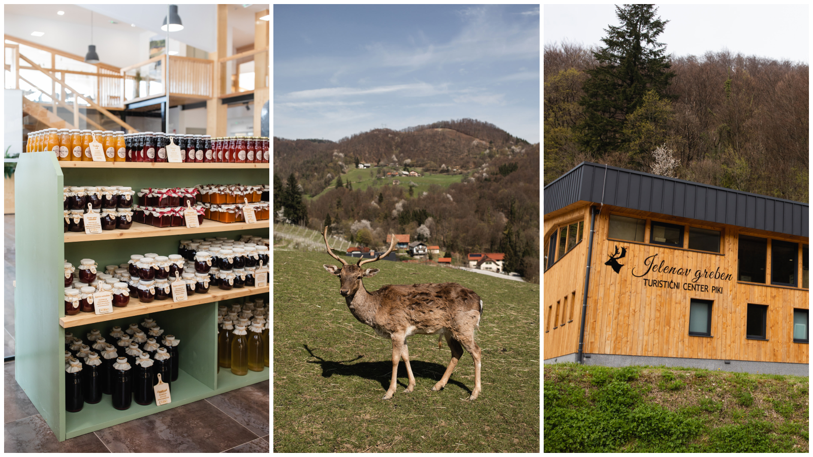 Jelenov greben, čarobno mjesto za izlet u Sloveniji, ima novu atrakciju
