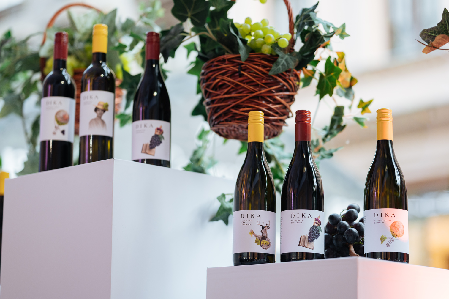 Vina s pričom: Linija DIKA vinarije Enosophia predstavljena javnosti u novom ruhu