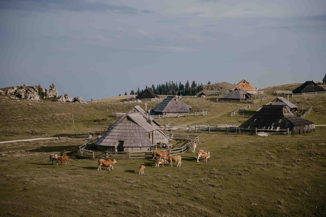 Velika planina, SLO