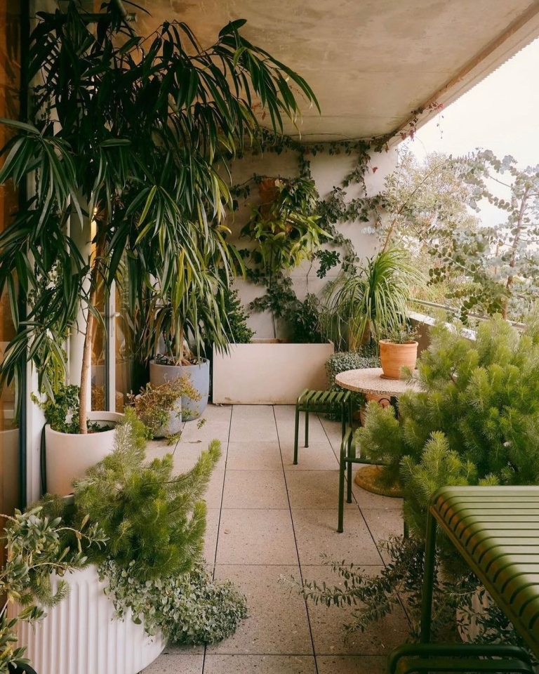 Napravite mali urbani vrt na svom balkonu