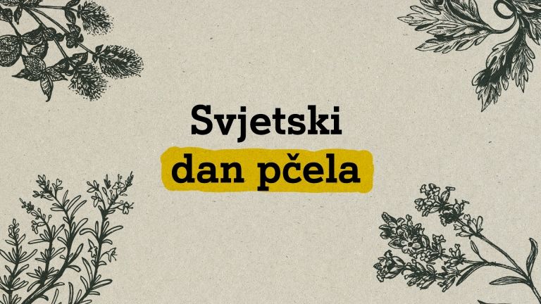 A1_SvjetskiDanPčela_PR01