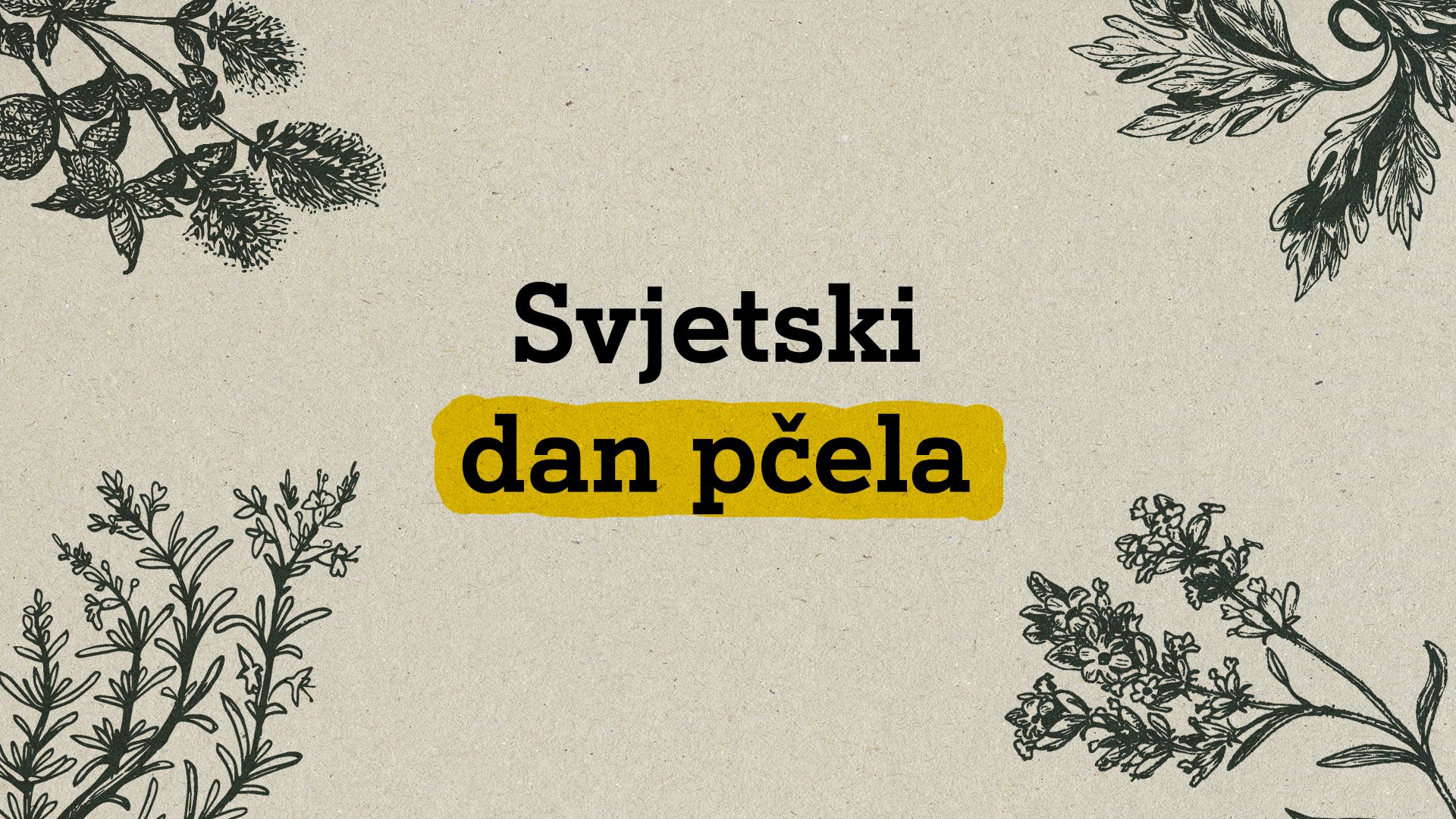 Danas je Svjetski dan pčela: Poduzmite ovih pet koraka kako biste pomogli ovim malim bićima