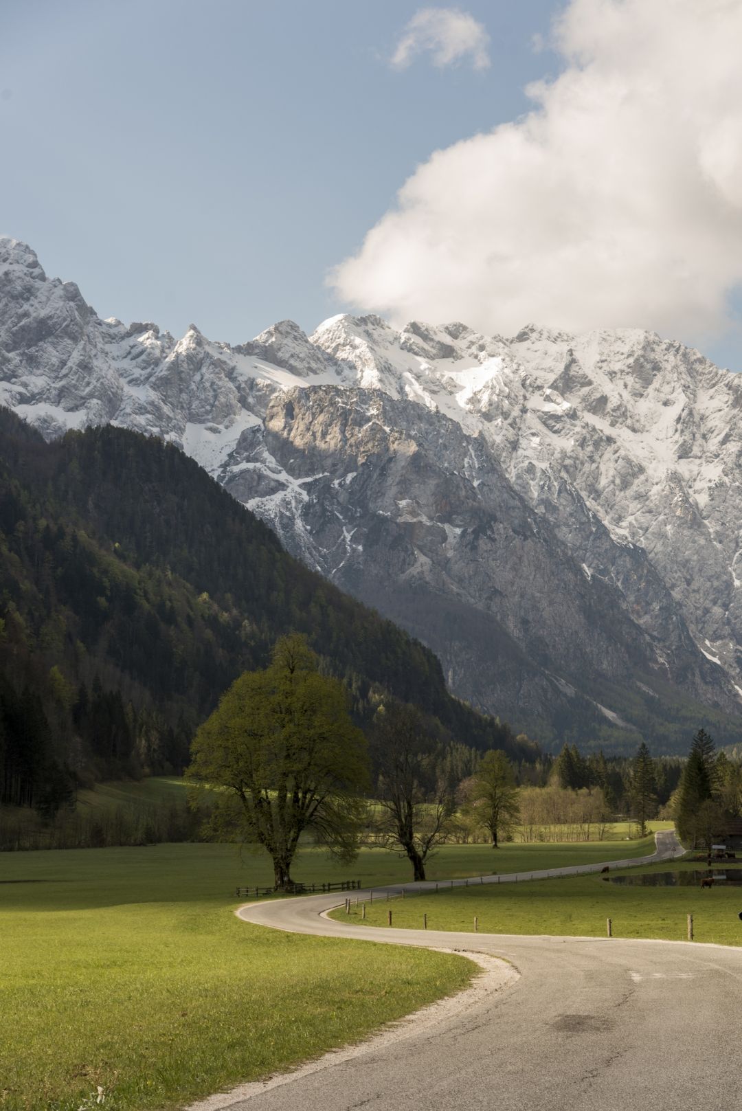 Bajkovita Logarska dolina je savršeno mjesto za vikend izlet u prirodi